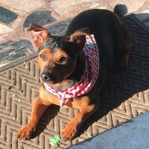 Meet your Posher, Maggie